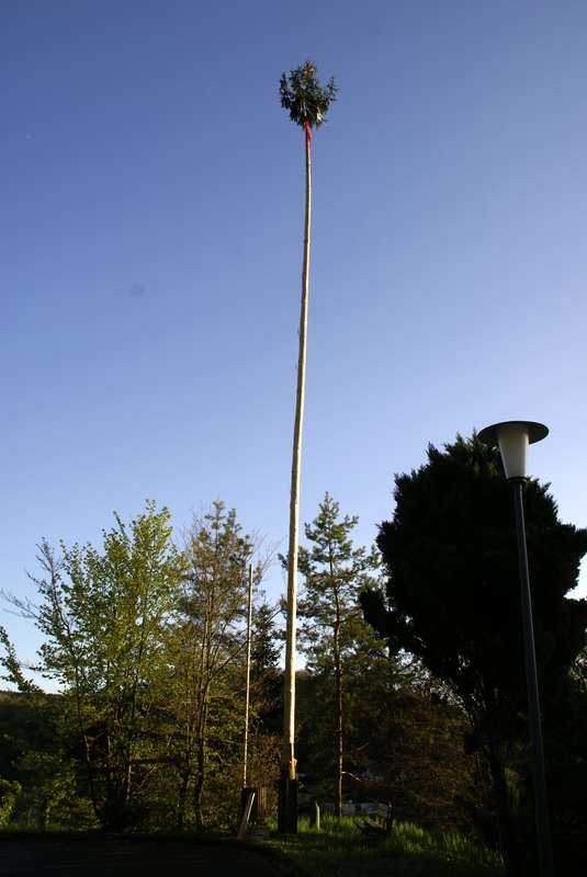 Maifest 2008 Bild Nr.001